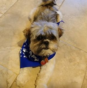 Meet your Posher, Tina